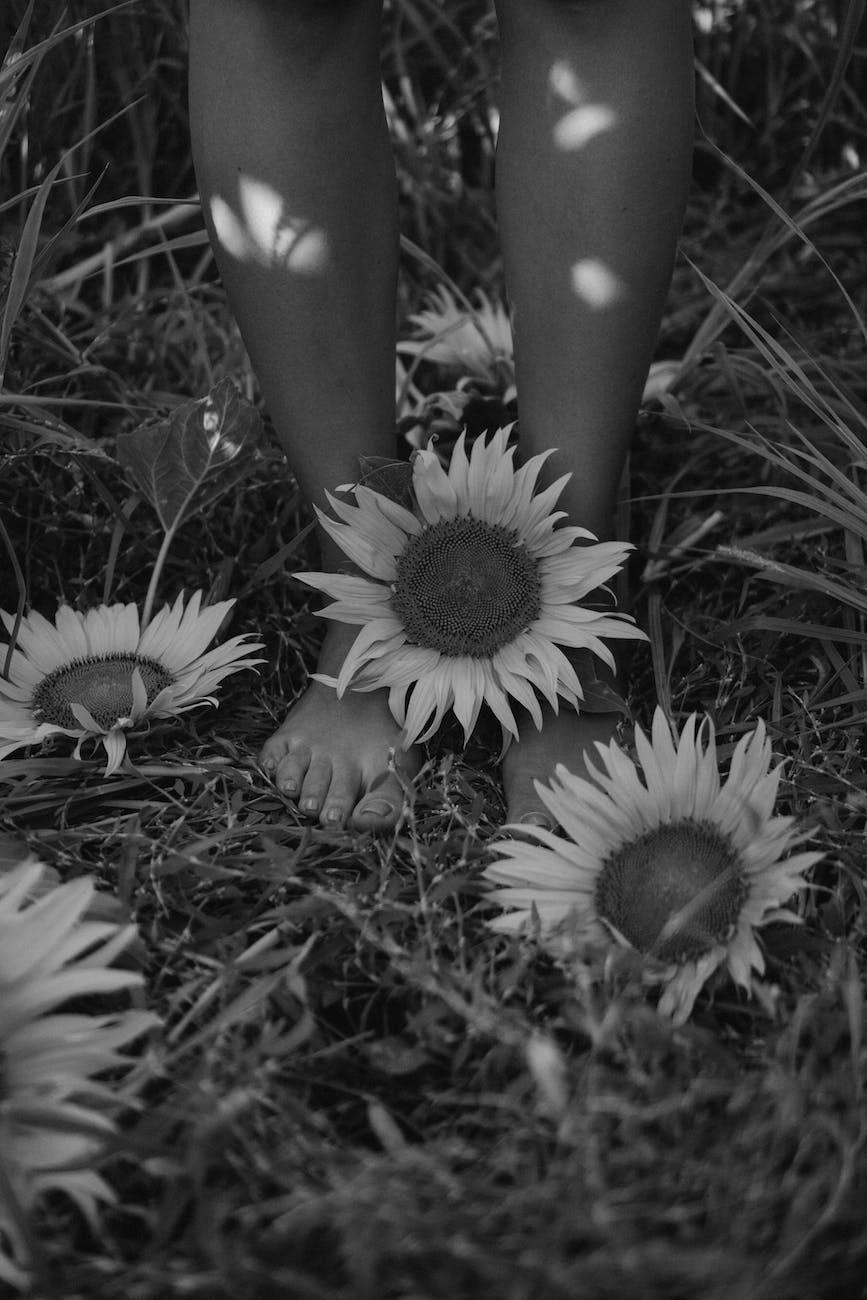 barefoot with sunflowers